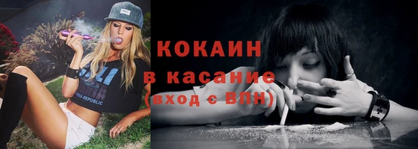 твердый Алексеевка