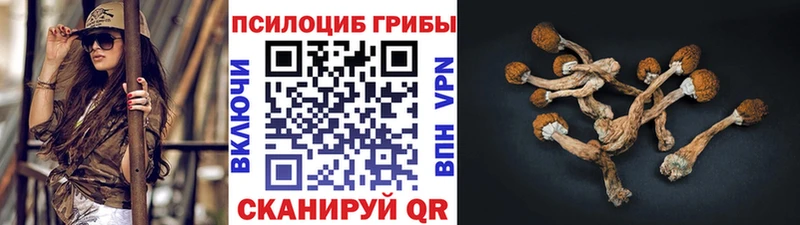 Псилоцибиновые грибы мицелий  mega зеркало  Зеленогорск 